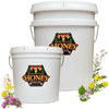 Bulk Raw Honey